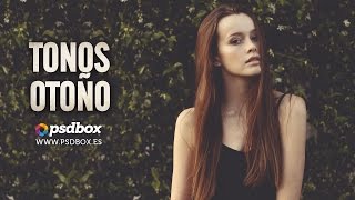 Tonos de Otoño PSD Box + Acción gratuita