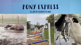 Pony Express #13 : concours de georgettes & paddock mouillé !