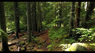 Pixabay Copyright Free Videos 4K Review and Download