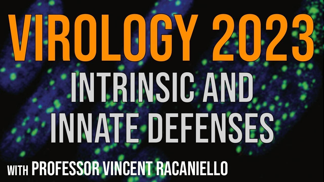 Virology Lectures 2023 #13: Intrinsic and innate defenses