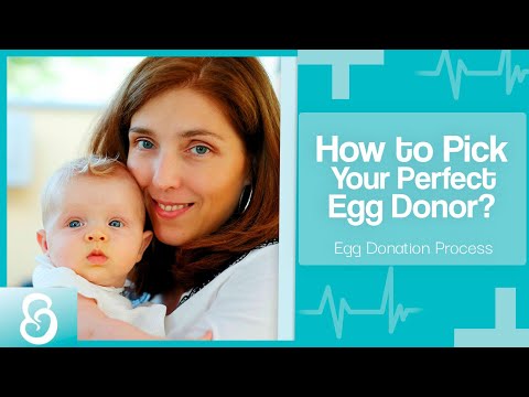 Video: Hvordan Finne En Eggdonor