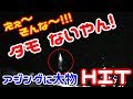 【アジング】アジ・メバル連発! パラダイス発見か？ さらに大物HIT! しかーし、タモないやん!!!