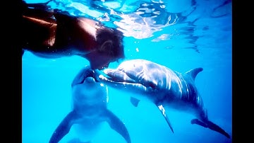 映画『ドルフィン・マン～ジャック・マイヨール、蒼く深い海へ』