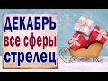 СТРЕЛЕЦ 🎄 ДЕКАБРЬ 2020 (РАБОТА, ЛЮБОВЬ, ДЕНЬГИ, ДОМ, СЮРПРИЗ, СОВЕТ) Таро прогноз гороскоп