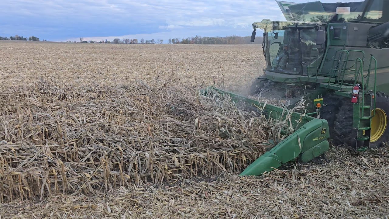 Борьба с кукурузой