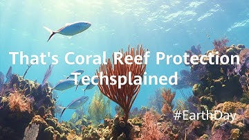 Huawei - Techsplained - Coral Reef