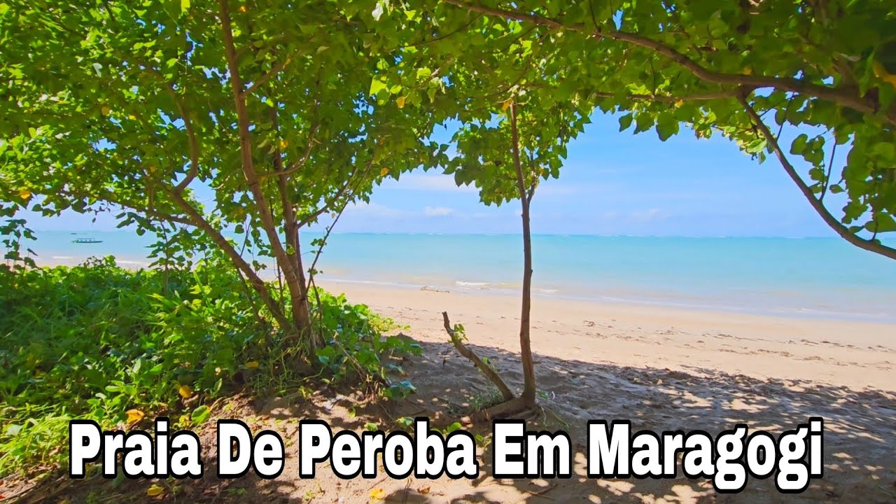 Maragogi Alagoas Praia De Peroba