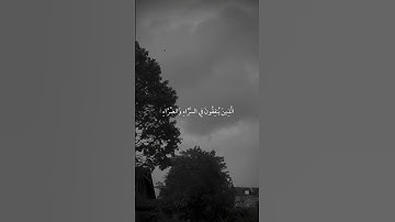 سورة آل عمران|134|القارئ:#محمد_اللحيدان #قران #quran #راحة_نفسية #قران_كريم #تلاوة_هادئة#تلاوة_خاشعة