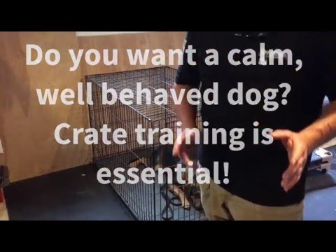 separation-anxiety-and-crate-training