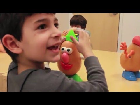 The SMART Program: Treating Autism and Autism-Related Disorders