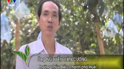 Ban nha nong   Ky thuat nuoi xen ghep tom cua va ca doi muc clip3