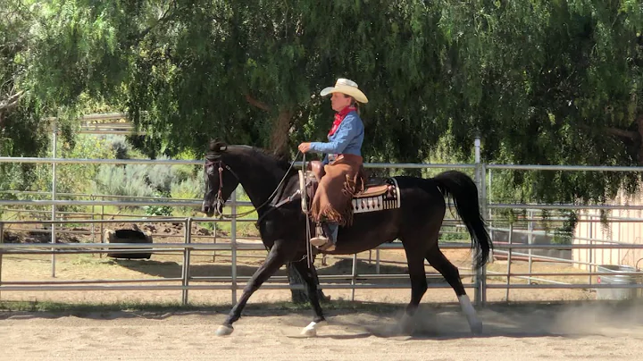 Marcy Roberts & Xxpresso Senior Horse Open Ranch R...