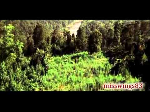 მოთმინება