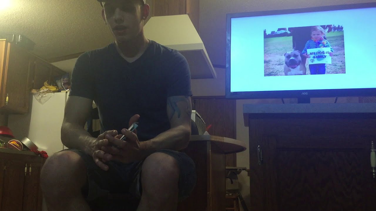 Why should every family should have a dog? YouTube