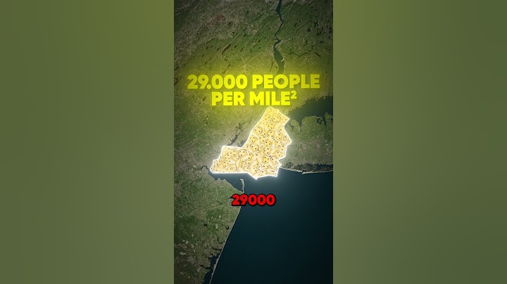 What If New York Became A Country 🤯