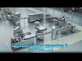 Auto capsuletablet counting packing line heng li packing tech