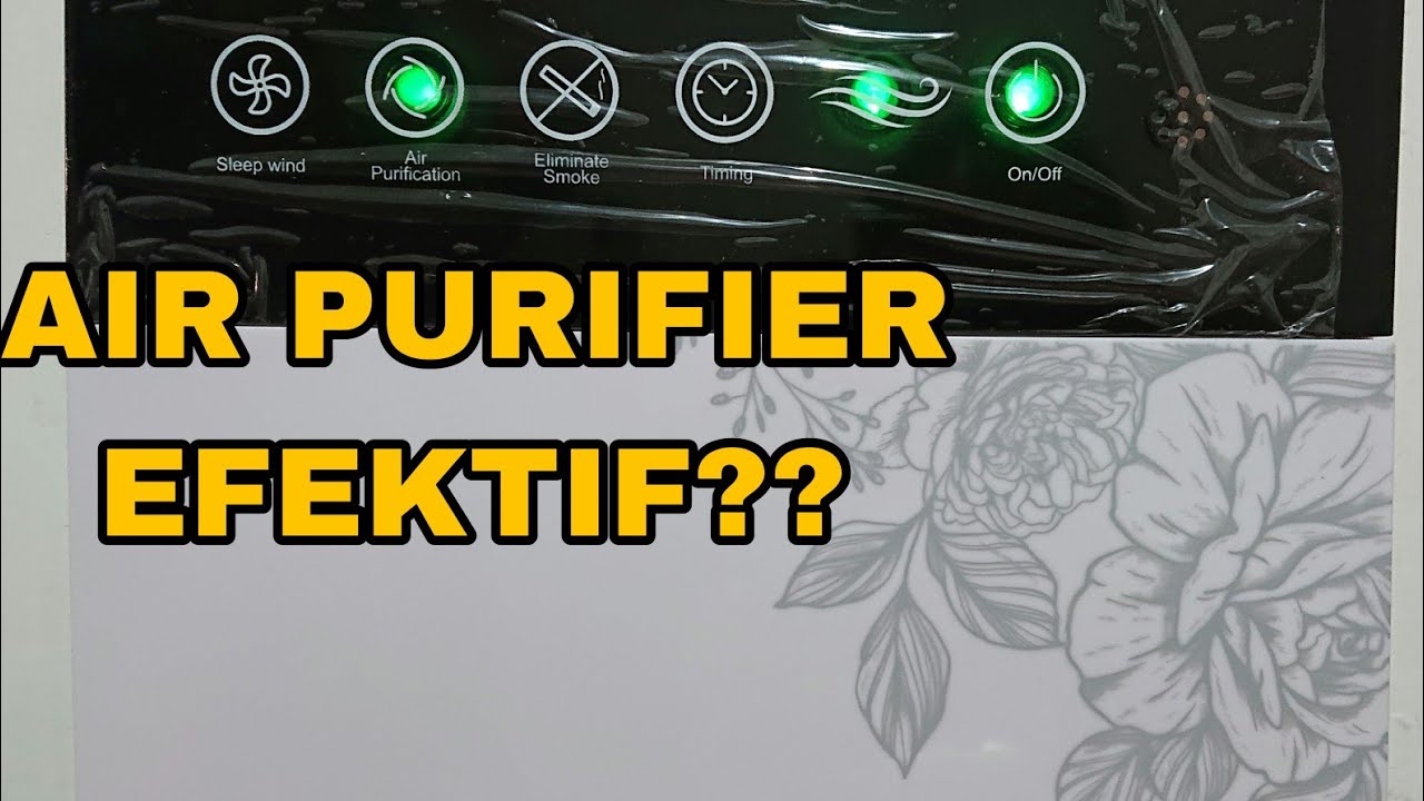 2 MINGGU SETELAH PAKAI AIR PURIFIER.. EFEKTIF KAH? YouTube