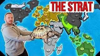 Play The Australian Turtle Strategy Like A Grandmaster