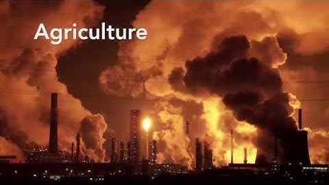 Integrating agriculture in national adaptation plans