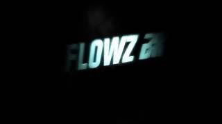 Intro Flowz BR