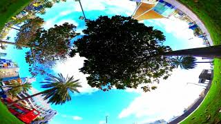 City, fisheye, trees HD