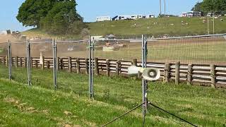 Class 3 Final red flag Cwmdu Autograss 24th May 2026 Cash Chaos Day 2