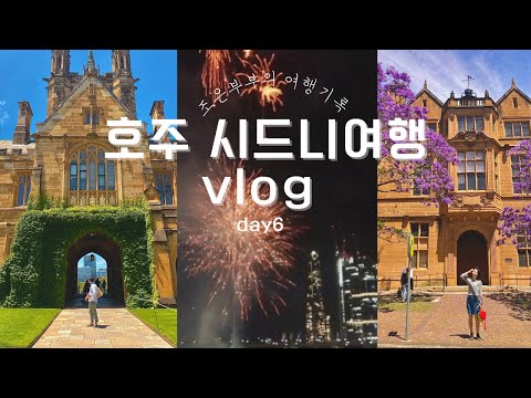 호주 시드니 여행vlog/안갔으면 큰일날뻔 했던 시드니사진스팟,시드니 브런치 카페,글리브마켓,패딩턴마켓,채스우드숙소,달링하버 불꽃축제,시드니플리마켓 쇼핑추천|조은기록