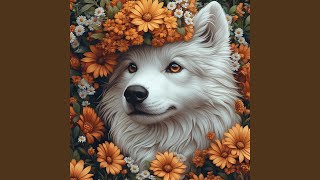 Download Lagu Pieln Bass MP3