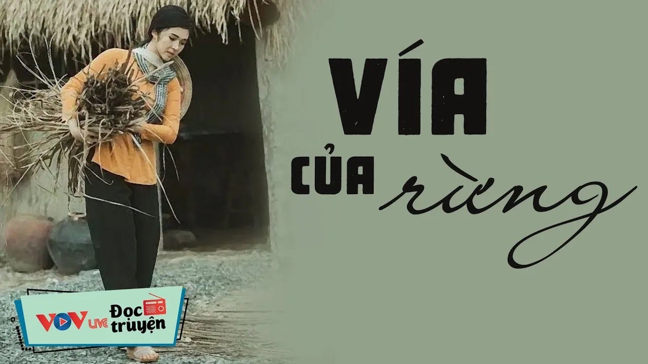 Truyện Hay - KHÔNG THỂ BỎ QUA - Vìa Của Rừng _ Đọc Truyện Đêm Khuya Đài Tiếng Nói Việt Nam Ngủ Ngon