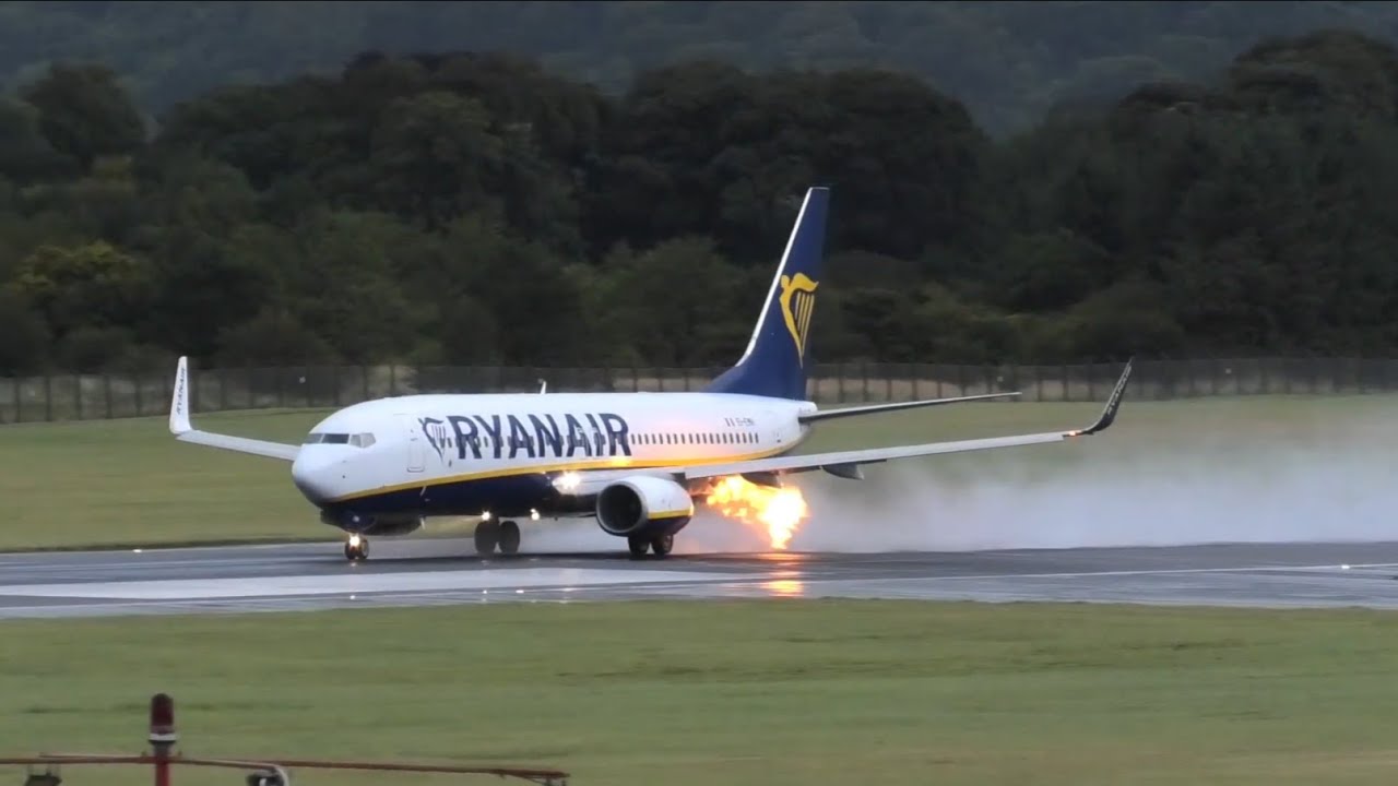 Bird Strike Caught On Camera 