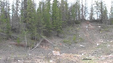 Sure shot Binary target