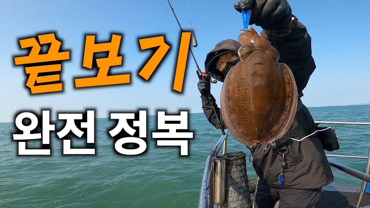 갑오징어 낚시 끝보기 완전정복 하기 지금 시작합니다⎟끝보기⎟채비운용⎟끝보기 자세⎟추무게 셋팅⎟로드선택⎟꿀팁 자세하게 설명드립니다