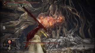 Malenia Vs The Blasphemous Blade! Elden Ring Playthrough Part 13