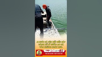 Xử lý nước trong ao cứu sống cả đàn cá #tintuc #giaitri #shorts