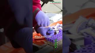 Phlebotomists Recognition Week