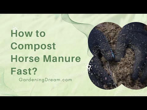 Video: Zirgu kūtsmēslu kompostēšana: kā izmantot zirgu kūtsmēslus kā mēslojumu
