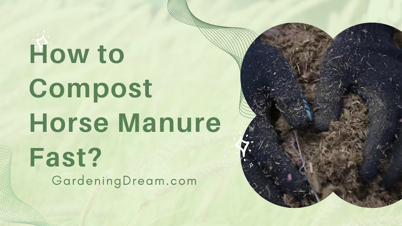 How to Compost Horse Manure Fast? YouTube