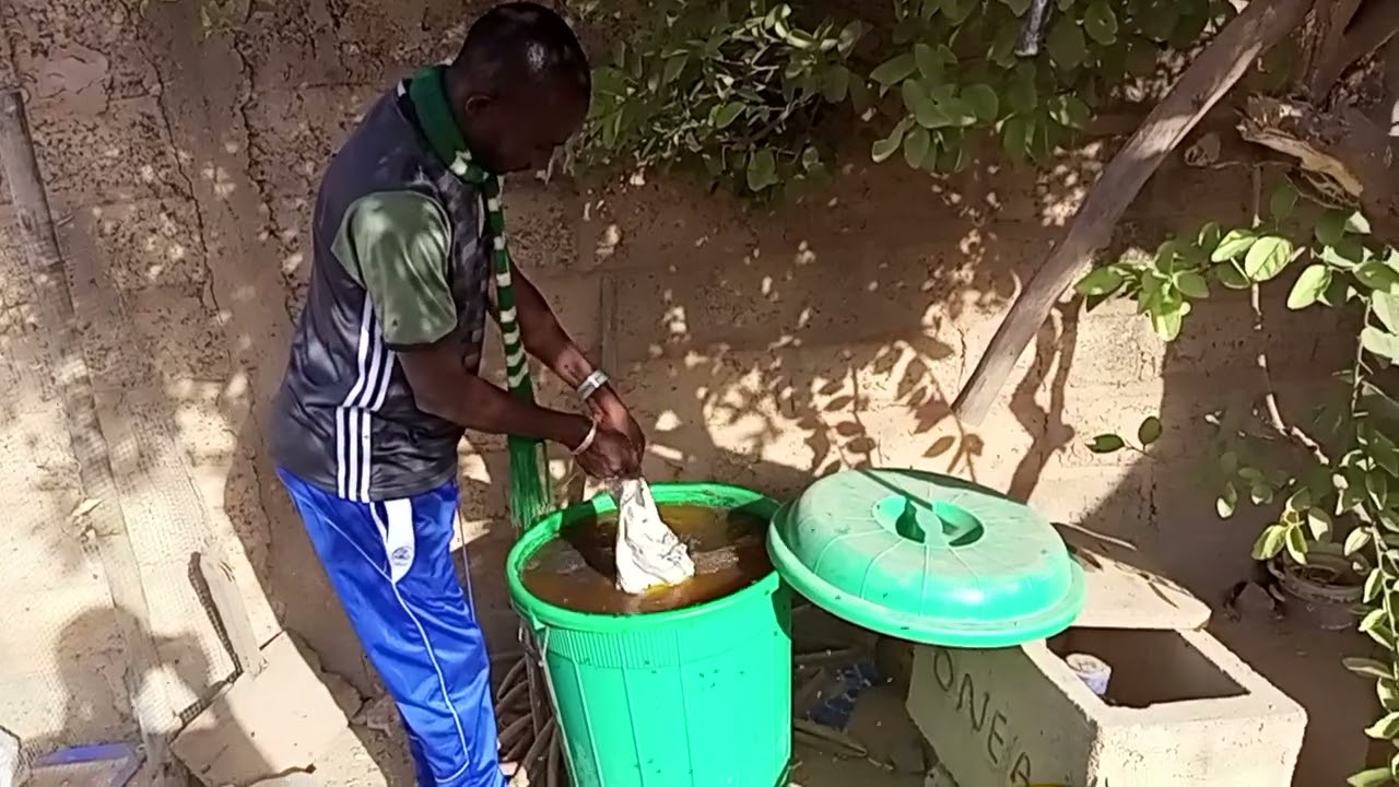 10e  jours  de notre engrais biologique liquide à base de la Fientes de la volaille. Komboigo Lévie.