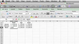 Lesson 7 - Edit data in Excel 2011