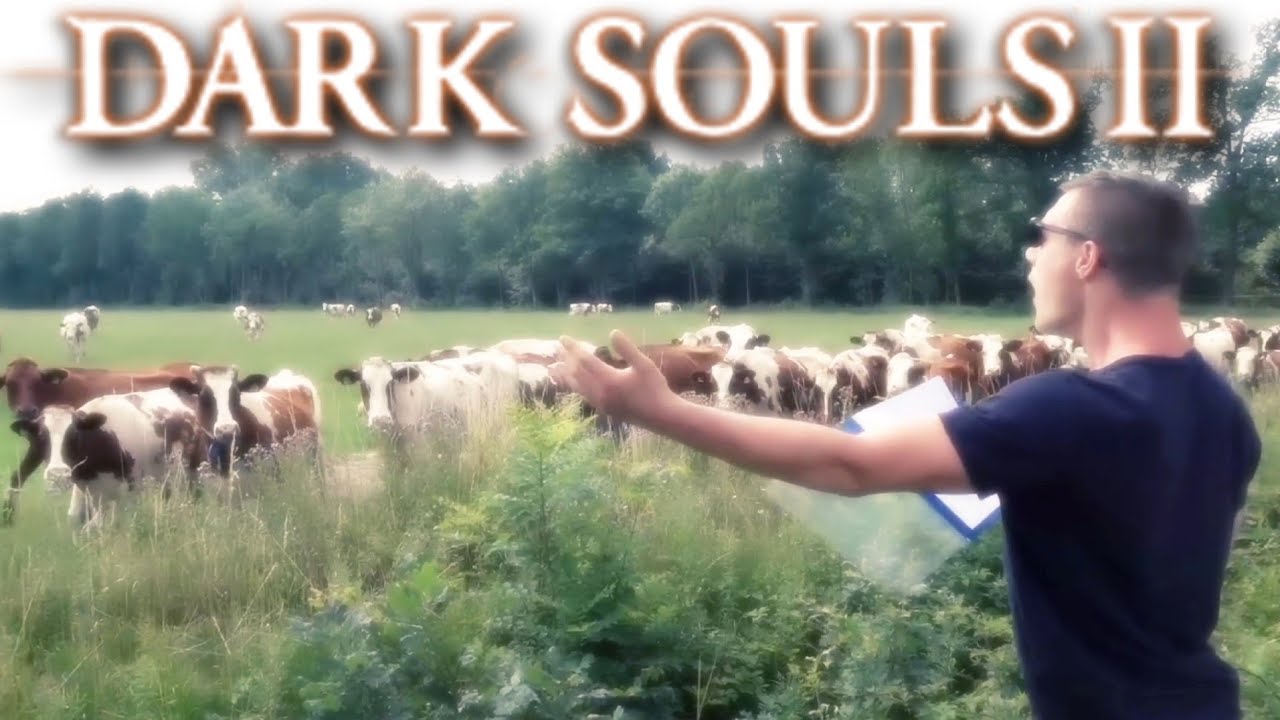 Average DS2 Fan Meet Up - YouTube
