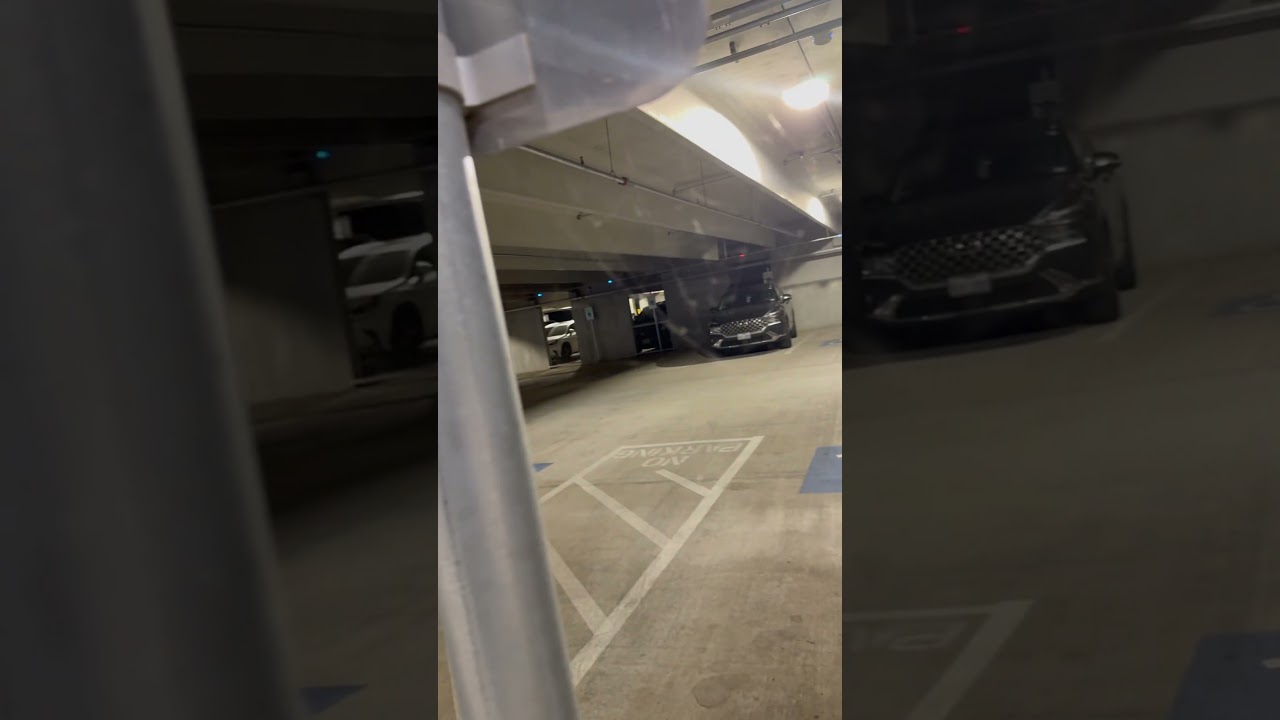 SCARY Spiders Hang Over HOUSTON Street! 