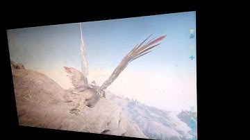 ARK: Report Hackers in 388 official sever!!!——2 @ GM