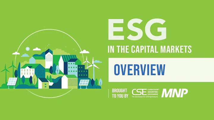 ESG in the Capital Markets - Part 1: Overview