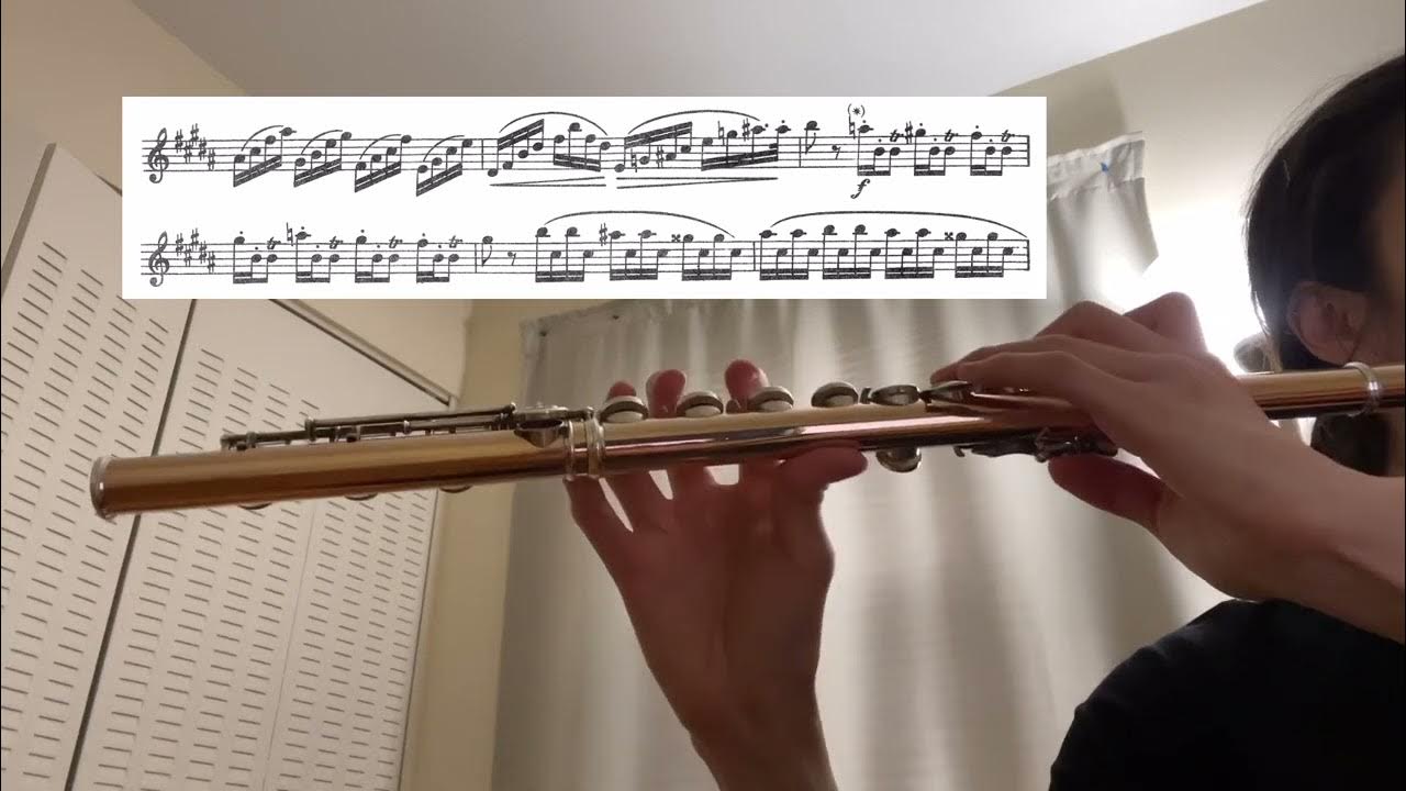 [4/9/24 practice log] Berbiguier no. 15 Flute etude YouTube