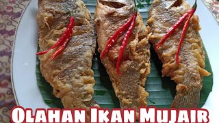 Ikan Goreng Sajiku Sambal Terasi || Di Jamin Bikin Ketagihan Nih..!