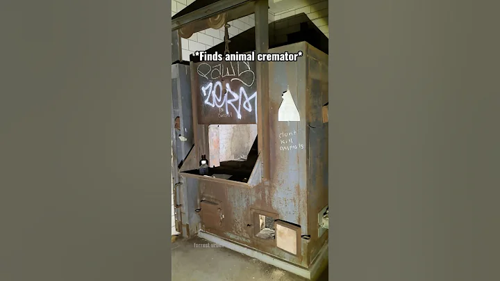 Animal Cremator in Abandoned Pet Hospital