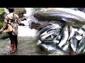 Fishing in the Himalayan river of Nepal ( Part -2 )