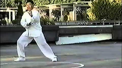 Fu Style Yang Palm BaGua