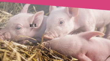 SmartGuard by SwineTech