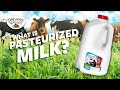 What is Pasteurized milk? | Ask Organic Valley